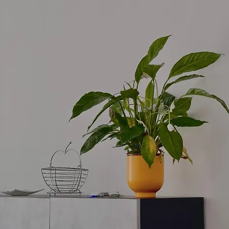 K House شقة باري