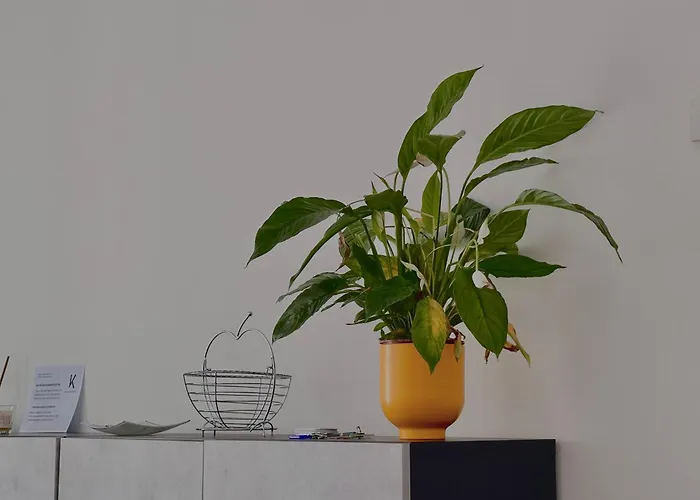 K House Apartment Bari